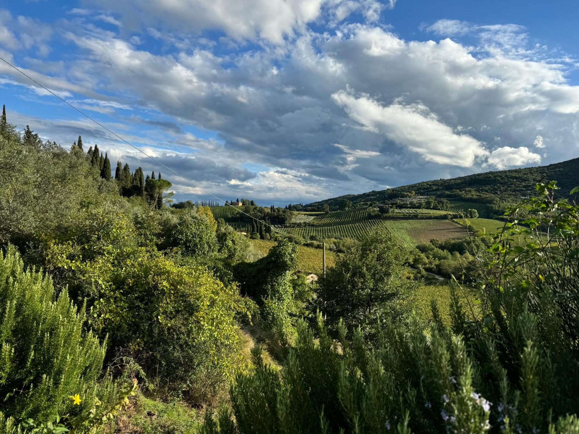 Villa Del Sole Сан-Джиміньяно Екстер'єр фото